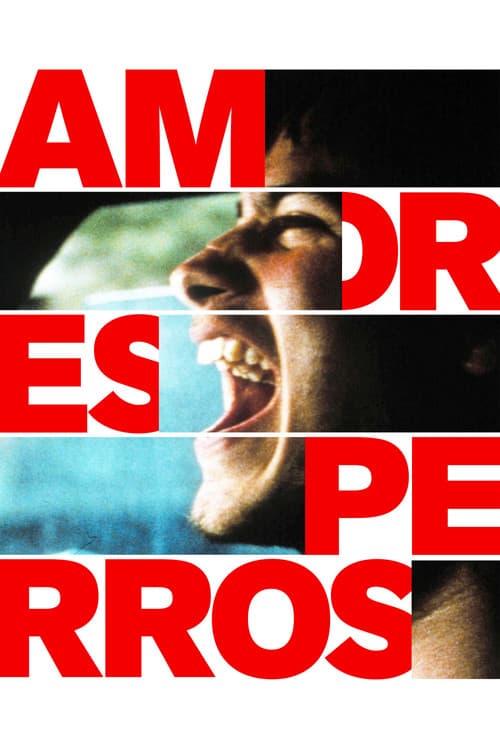Poster: Amores perros