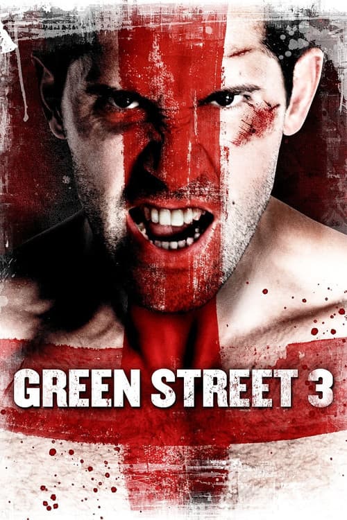 Poster: Never Back Down 3