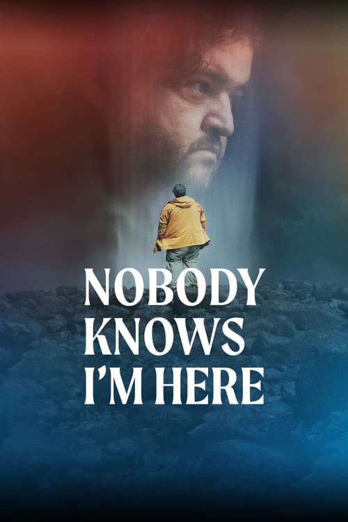 Poster: Nobody Knows I'm Here