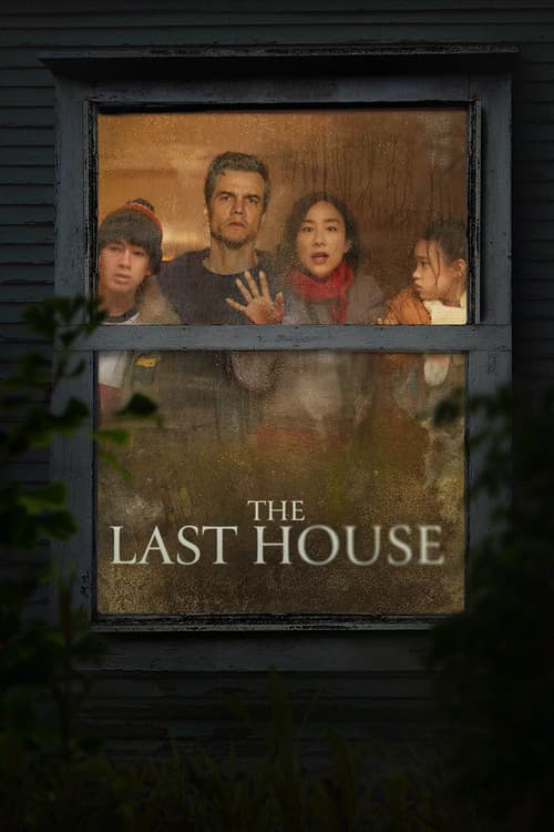 Poster: The Last House