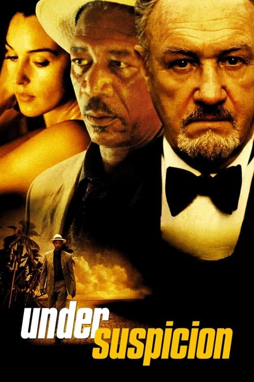 Poster: Under Suspicion